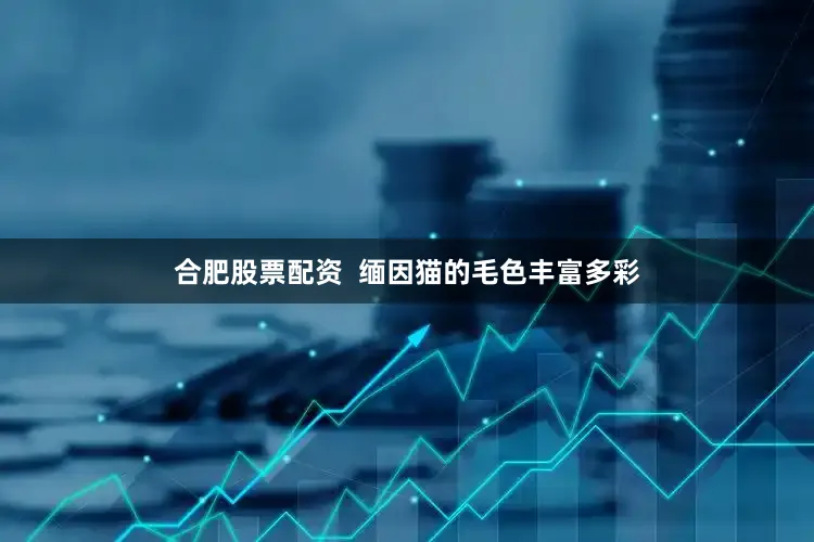 合肥股票配资  缅因猫的毛色丰富多彩