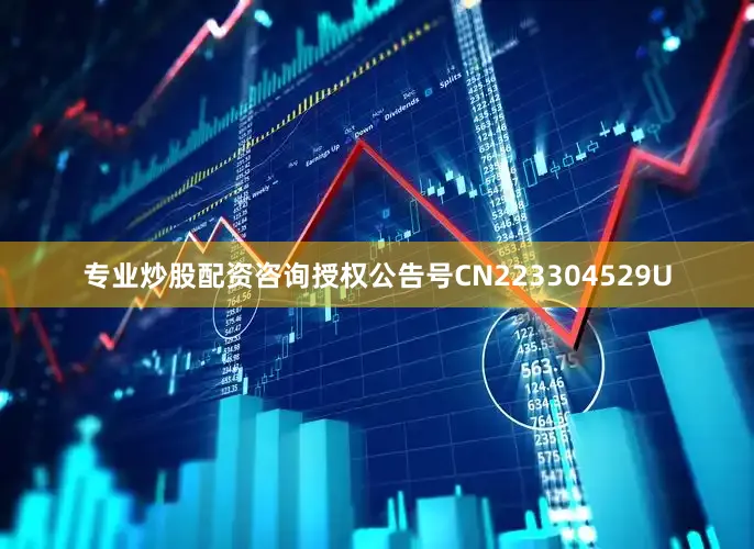专业炒股配资咨询授权公告号CN223304529U
